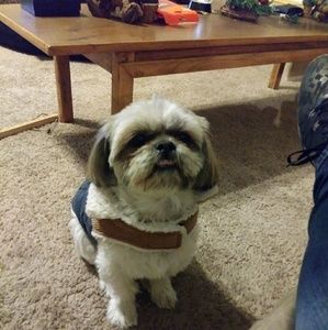 Meet your Posher, Cheryl